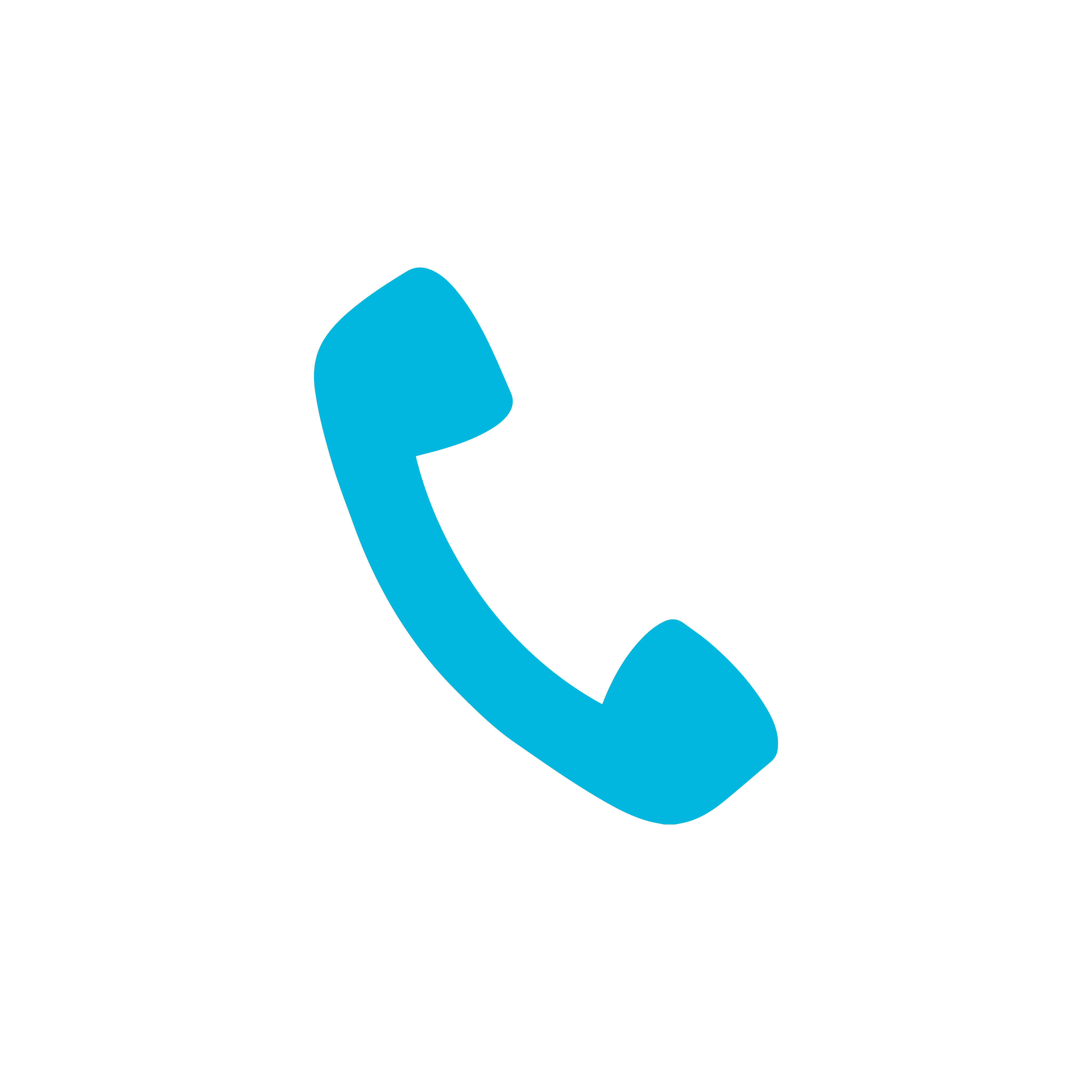 Phone Icon
